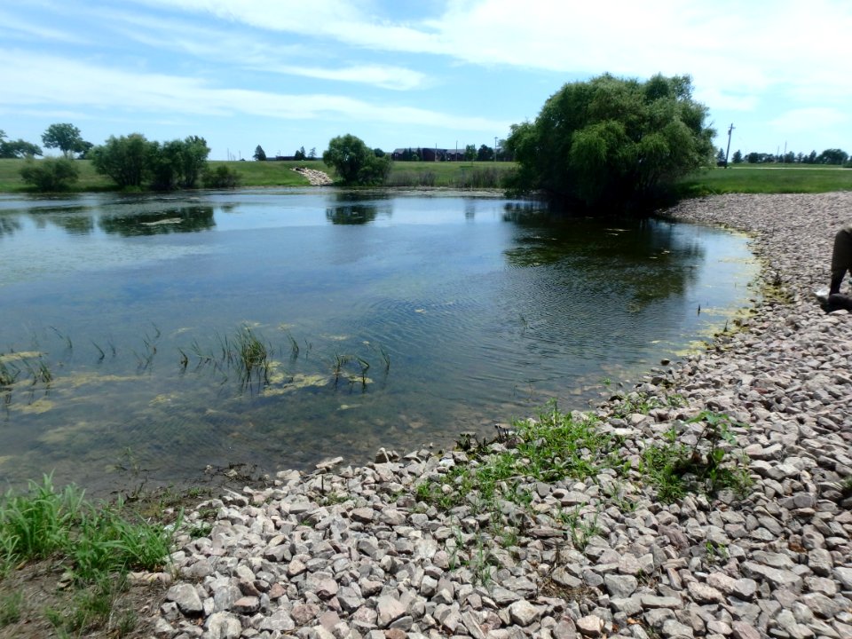 Wetland at Air Force Base (51254099575)