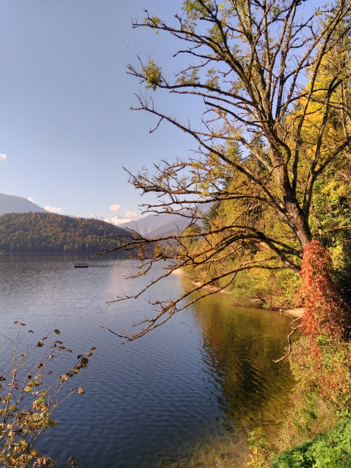 Landscape lake bank