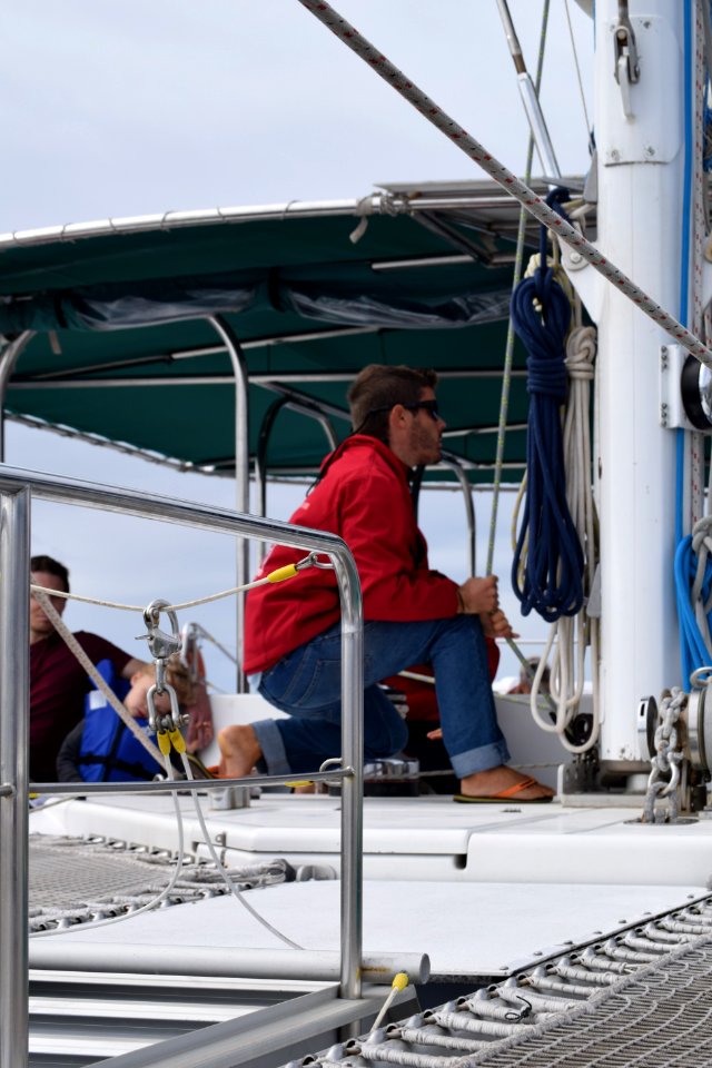 While we were in Funchal, Madeira, we went on a dolphin and whale watching trip on a catamaran. There were dolphins, out there but we missed them, we did see pilot whales. (31262774407)