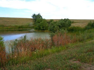 Wetland at Air Force Base (51254071370)