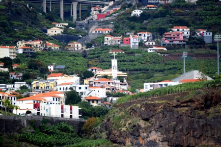 While we were in Funchal, Madeira, we went on a dolphin and whale watching trip on a catamaran. There were dolphins, out there but we missed them, we did see pilot whales. (46201894101)
