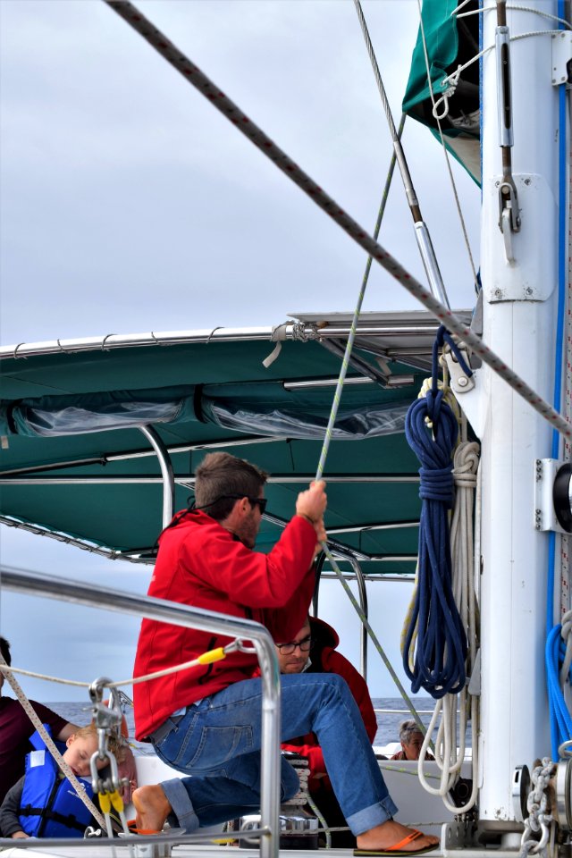 While we were in Funchal, Madeira, we went on a dolphin and whale watching trip on a catamaran. There were dolphins, out there but we missed them, we did see pilot whales. (32329766638)