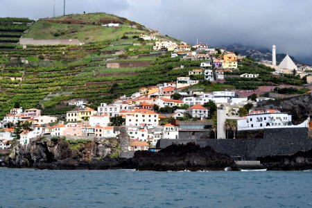 While we were in Funchal, Madeira, we went on a dolphin and whale watching trip on a catamaran. There were dolphins, out there but we missed them, we did see pilot whales. (31262755847) photo