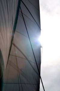 While we were in Funchal, Madeira, we went on a dolphin and whale watching trip on a catamaran. There were dolphins, out there but we missed them, we did see pilot whales. (32329767498)