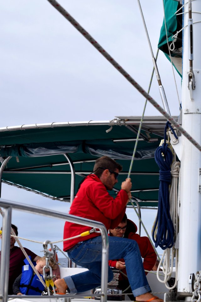 While we were in Funchal, Madeira, we went on a dolphin and whale watching trip on a catamaran. There were dolphins, out there but we missed them, we did see pilot whales. (45477711874)