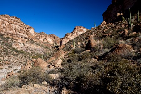 White Canyon Wilderness Area (26673468376)