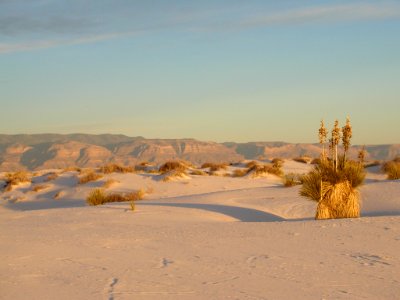 White Sands National Monument (29941070441)