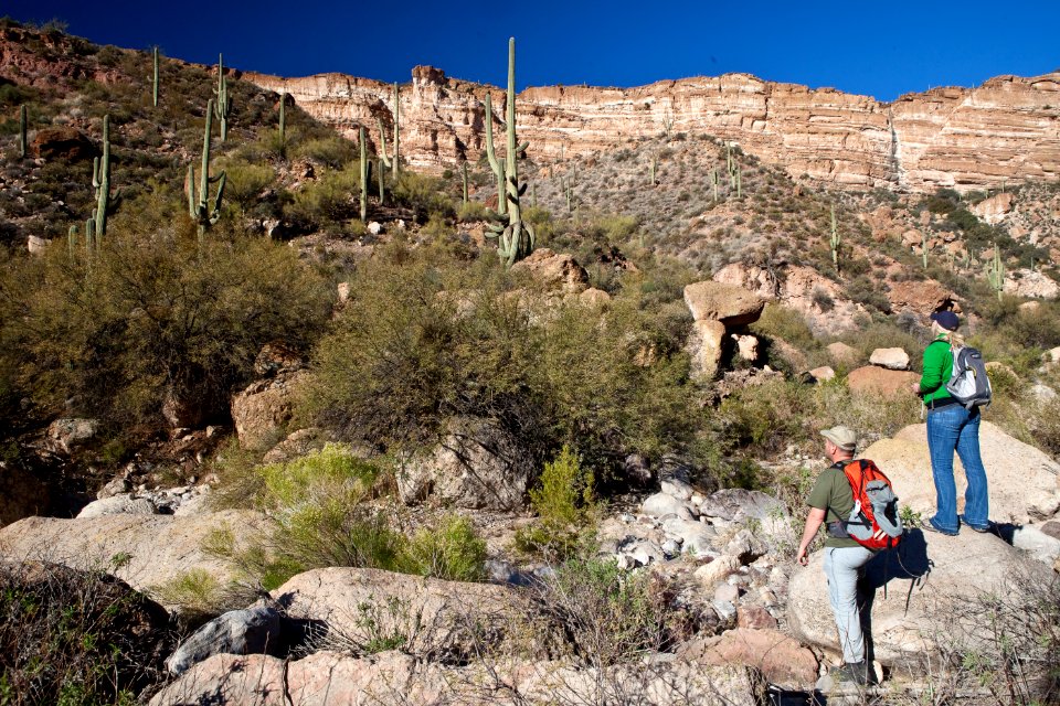 White Canyon Wilderness Area (26427386810)
