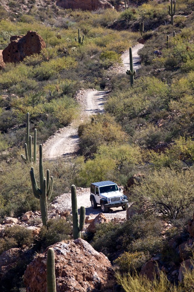 White Canyon Wilderness Area (26673499566)