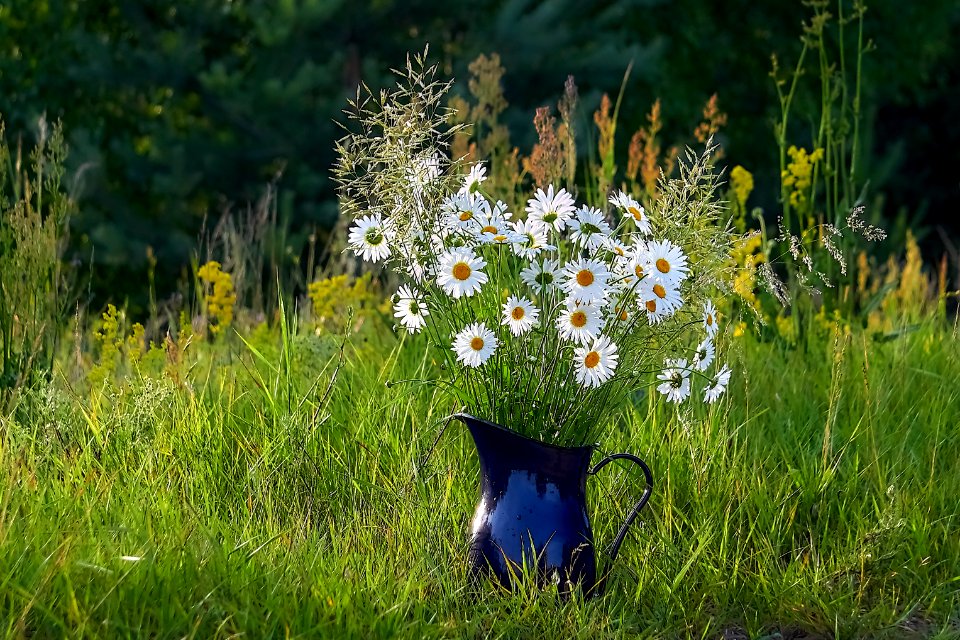 White flowers in vase (43120817861)