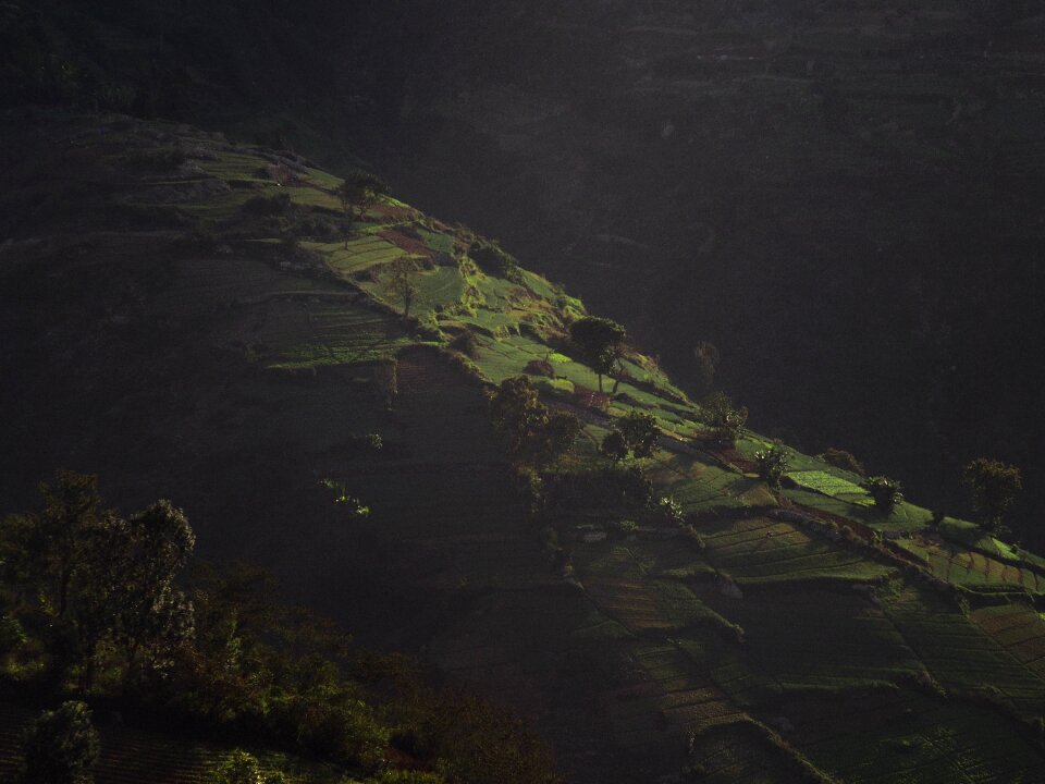 Mountain field farm
