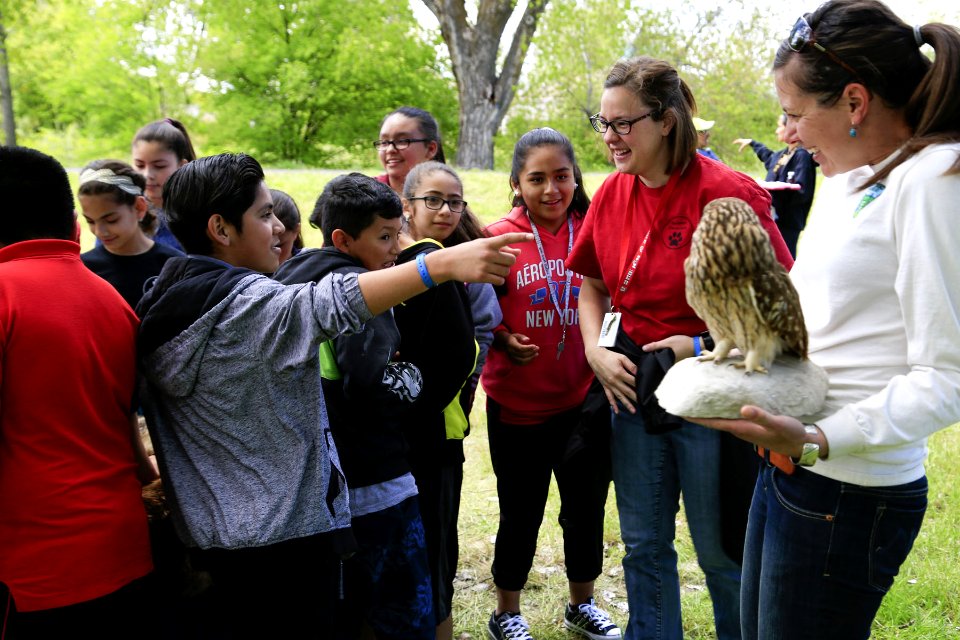 Wildlife educatino (34524856895)