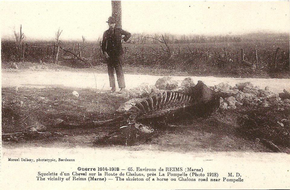 Autour de Reims-FR-51-La Pompelle-08