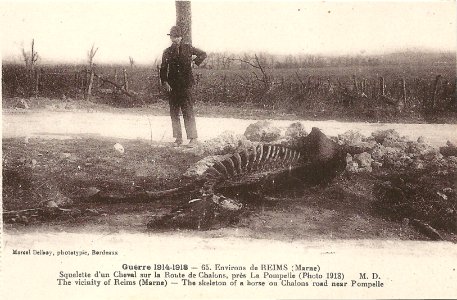 Autour de Reims-FR-51-La Pompelle-08