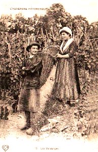 Auvergne vendangeur et vendangeuse