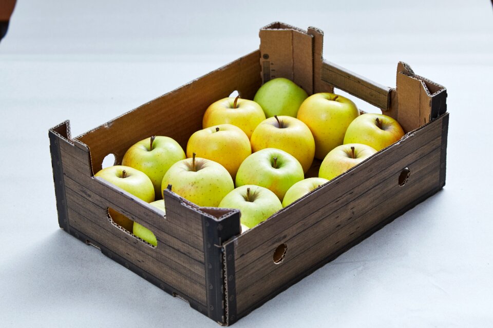 Nature apple orchard closeup