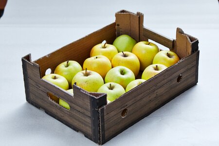 Nature apple orchard closeup