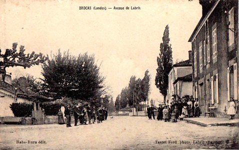 Avenue de labrit