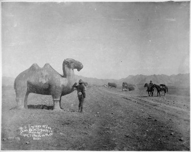 Avenue of Statues, on road to the Ming Tombs, near Peking, China. Members of the 6th U.S. Cavalry in foreground., 1900 - NARA - 519408 photo