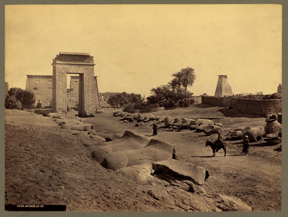Avenue of Sp(hynxes) LCCN2004672038