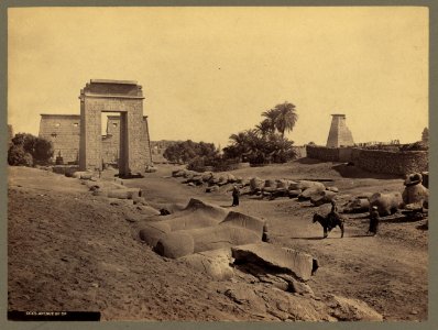 Avenue of Sp(hynxes) LCCN2004672038