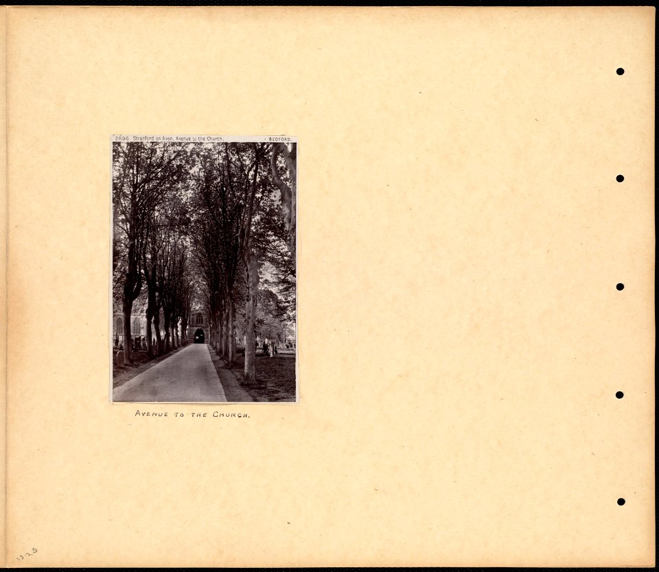 Avenue to the church