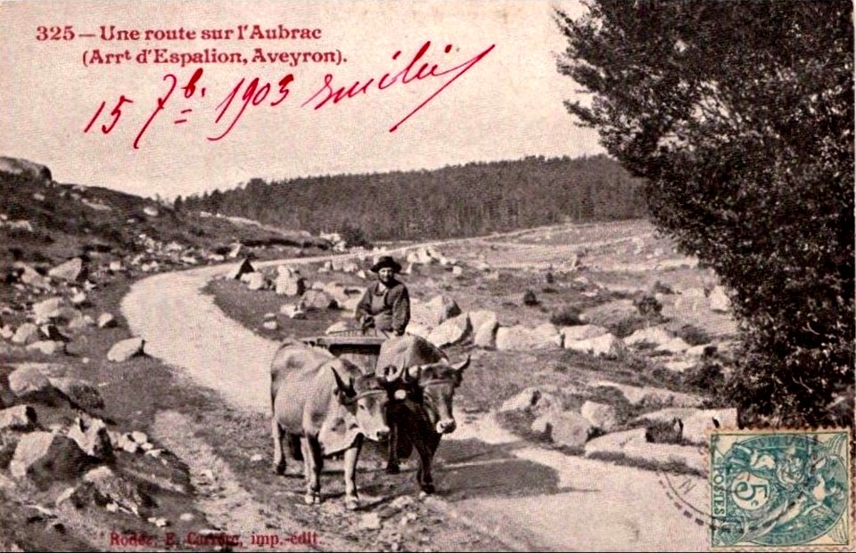 Aveyron - Une route dans l'Aubrac