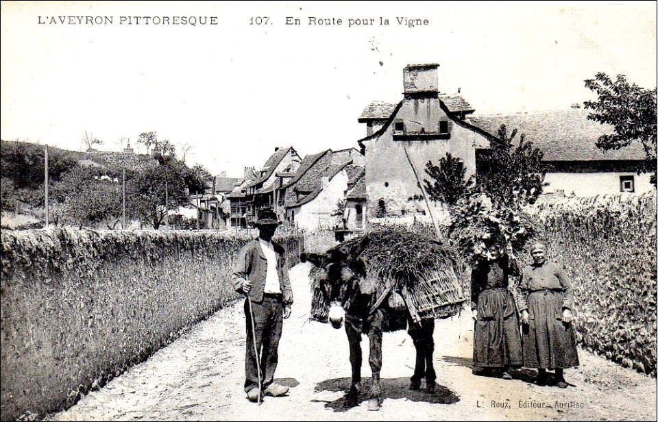 Aveyron Pittoresque 107 - En route pour la vigne
