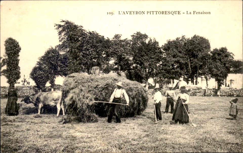 Aveyron Pittoresque 109 - La Fenaison a