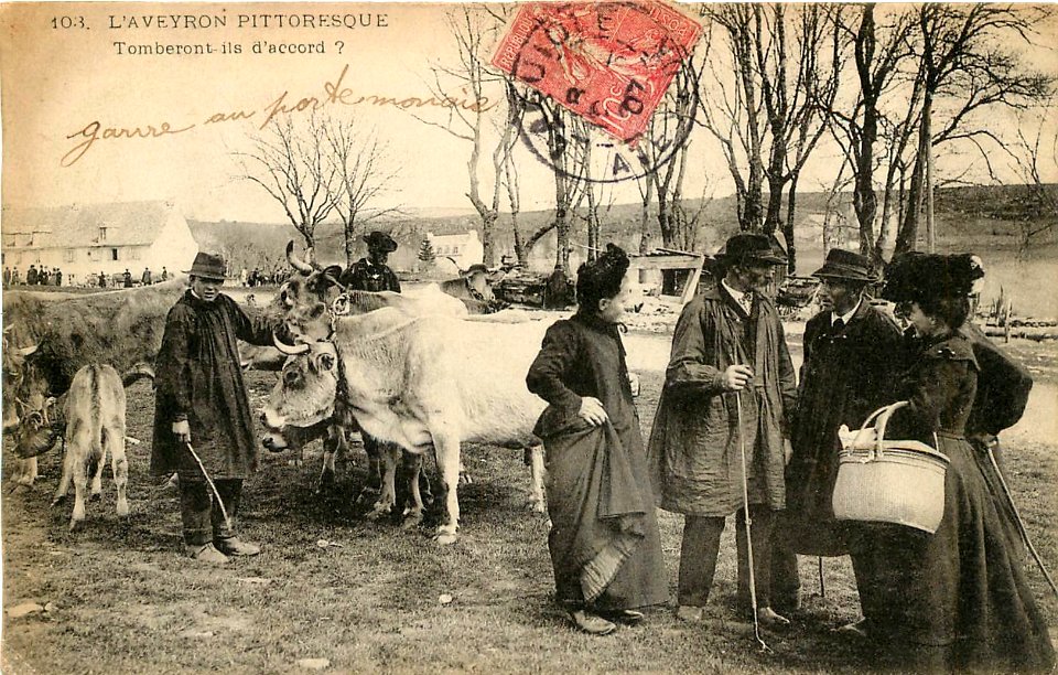Aveyron Pittoresque 103 - A la Foire