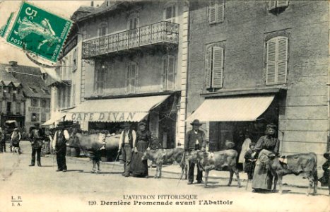 Aveyron Pittoresque 120 - Dernière Promenade avant l'Abattior