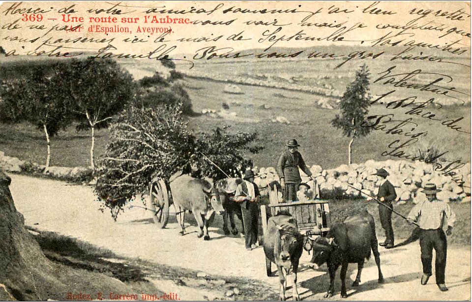 Aveyron - Route de l'Aubrac