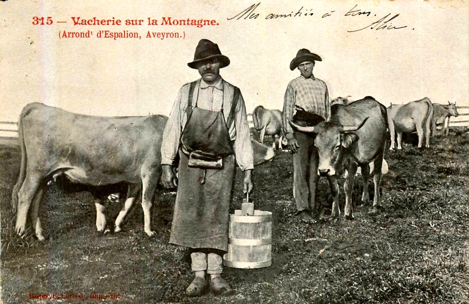 Aveyron - Vacherie sur la montagne 3