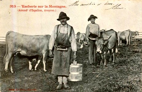 Aveyron - Vacherie sur la montagne 3