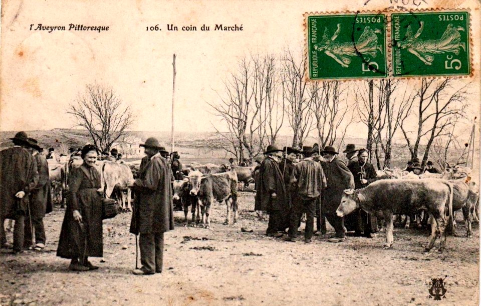 Aveyron Pittoresque 106 - A la Foire