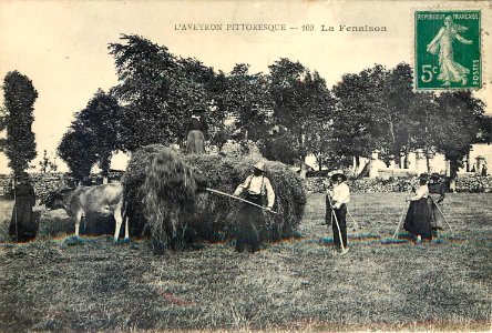 Aveyron Pittoresque 109 - La Fenaison