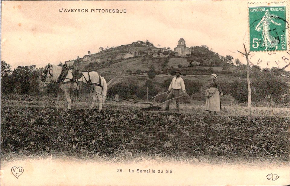 Aveyron Pittoresque 26 - La semaille du blé