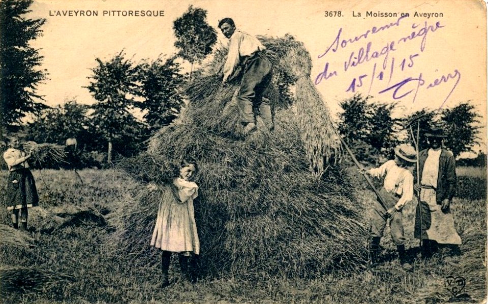 Aveyron Pittoresque 3678 - La Moisson