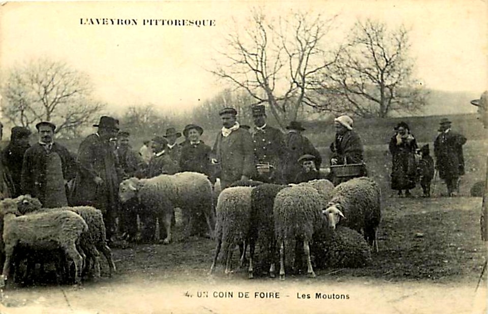 Aveyron Pittoresque 4 - Un coin de Foire - Les Moutons