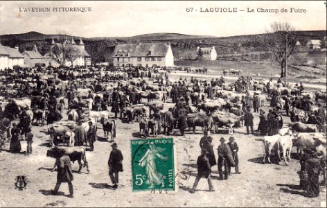 Aveyron Pittoresque 57 - Laguiole - Champ de Foire
