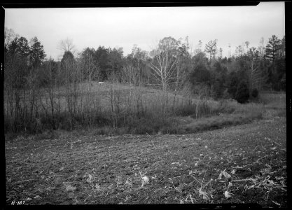 One of the draws on the land purchased by the TVA near Norris townsite for agricultural experimental purposes. - NARA - 532804