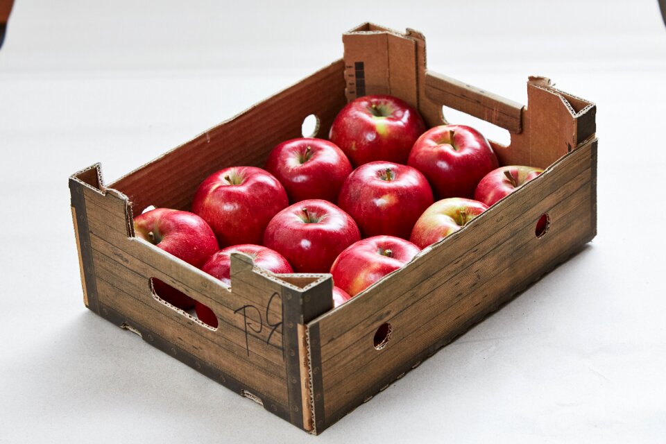 Nature apple orchard closeup