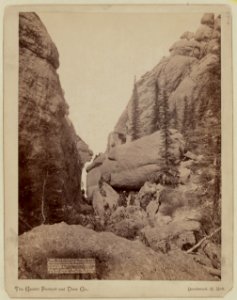 Our picnic party at Sunday Gulch. Photographed between the walls of the grandest mountains of the Dakotas, near Custer City on the B. & M. Ry - The Grabill Portrait and View Co., Deadwood, LCCN99613945