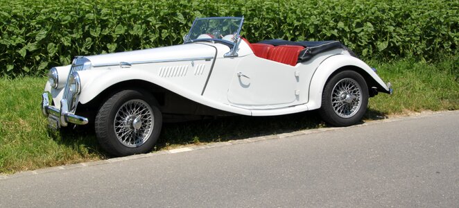 White elegant sporty