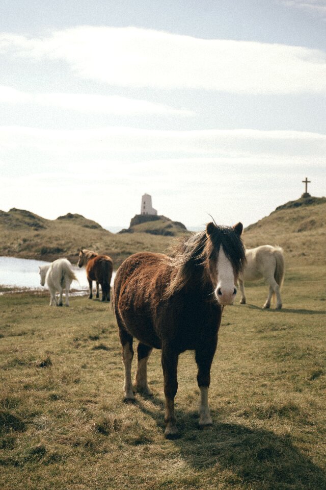 Grass highland lighthouse
