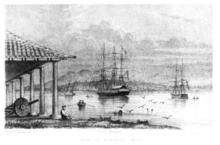 Port of Realejo -- 1859 - NH 116