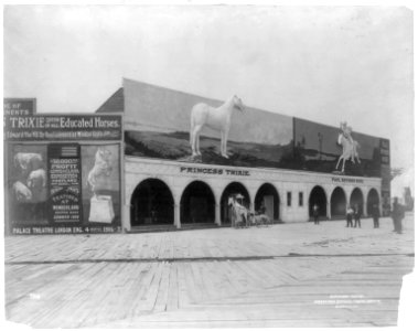 Princess Trixie, Queen of all educated horses, posed before her amusement park pavillion. Jamestown, VA. LCCN2017658575