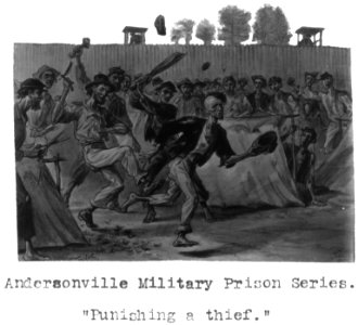 Punishing a thief LCCN2016651822