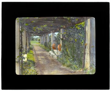 Près Choisis, Albert Herter house, Georgica Pond, East Hampton, New York. Pergola LCCN2008675730
