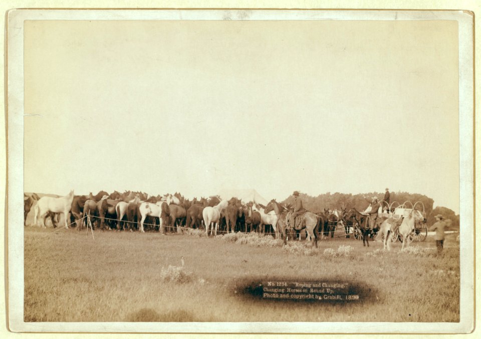Roping and changing. Changing horses on round up LCCN99613909